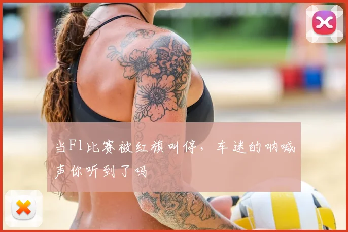 当F1比赛被红旗叫停，车迷的呐喊声你听到了吗