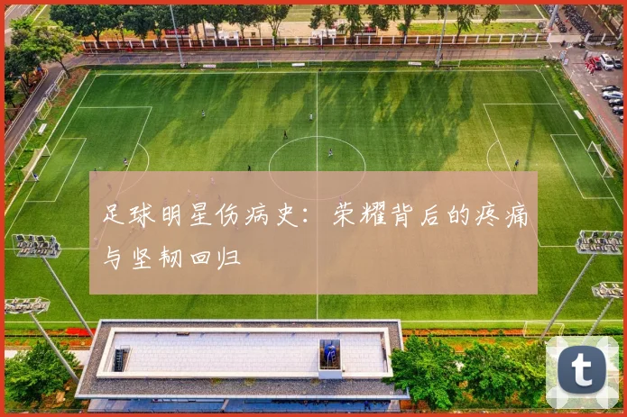 足球明星伤病史：荣耀背后的疼痛与坚韧回归